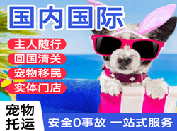 拉萨空运地址国际宠物托运 【国
